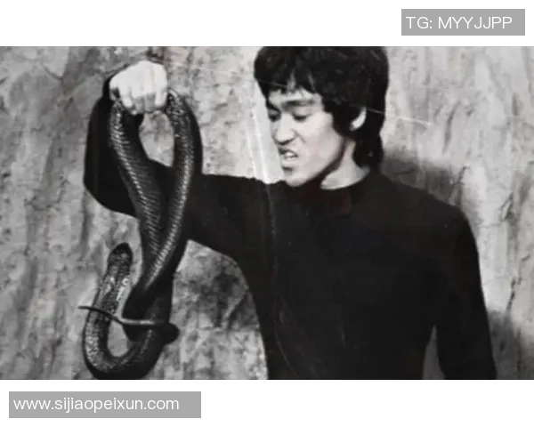 足球明星李小龙的精彩瞬间与传奇人生照片回顾 足球明星李小龙的精彩瞬间与传奇人生照片回顾