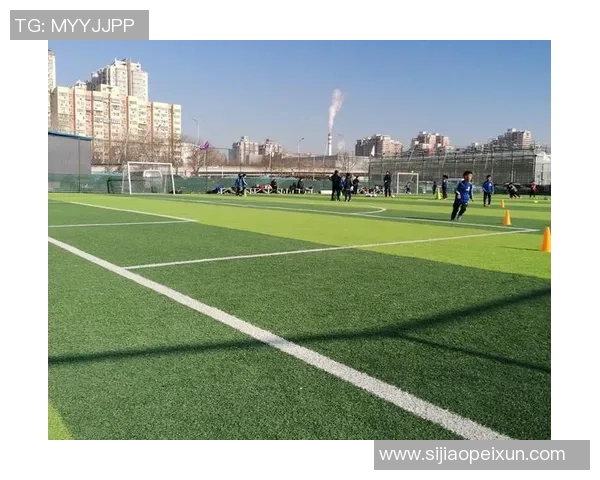 西安足球队的团队协作揭秘:如何在绿茵场上共创辉煌 西安足球队的团队协作揭秘:如何在绿茵场上共创辉煌