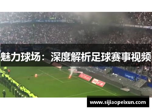 魅力球场：深度解析足球赛事视频