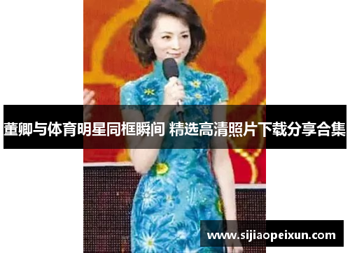 董卿与体育明星同框瞬间 精选高清照片下载分享合集
